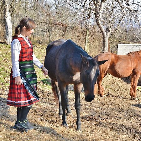Отель Ecopark Елена Экстерьер фото
