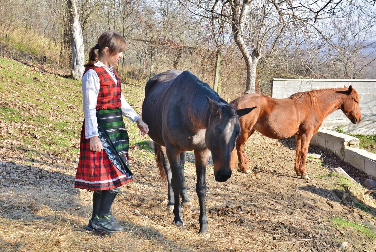 Отель Ecopark Елена Экстерьер фото