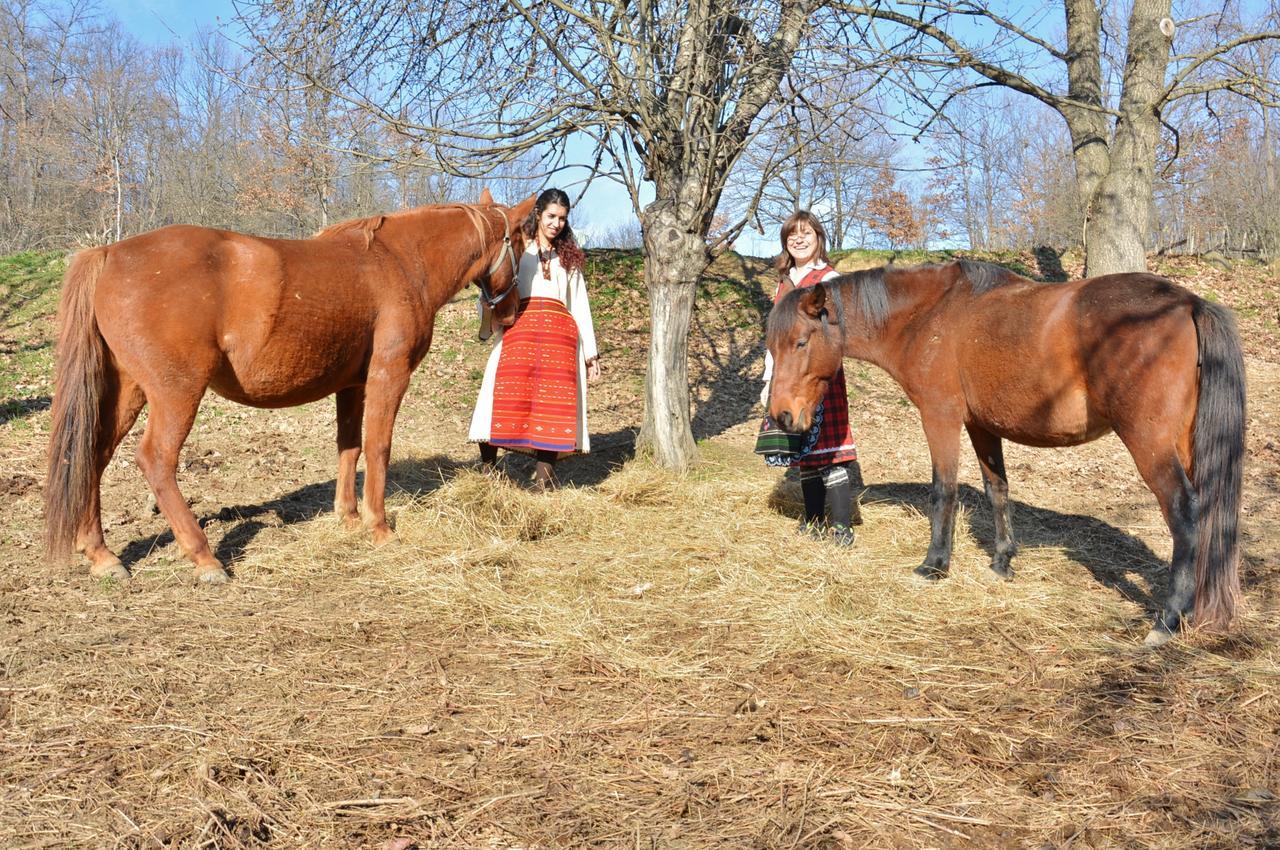 Отель Ecopark Елена Экстерьер фото