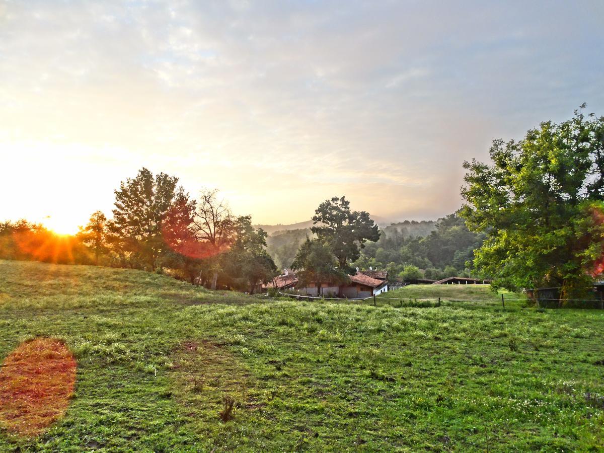 Отель Ecopark Елена Экстерьер фото