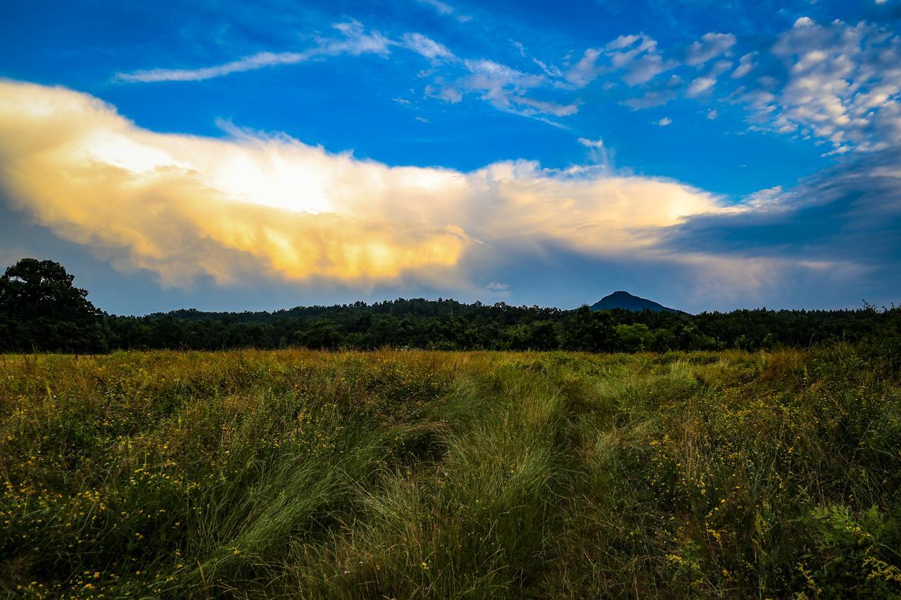 Отель Ecopark Елена Экстерьер фото